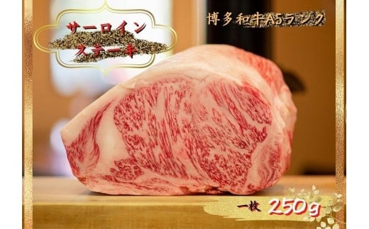 博多和牛サーロインステーキ 250g（250g×１枚） 456635 - 福岡県大川市