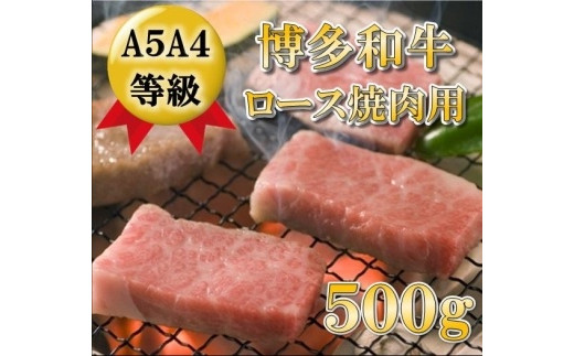 A5A4等級 博多和牛ロース焼肉用 500g 大川市 460187 - 福岡県大川市