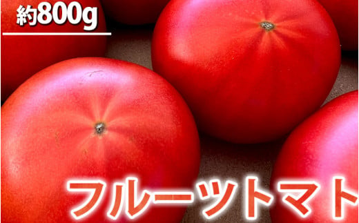 フルーツトマト 1キロ箱詰(正味800グラム程度) ※2024年1月上旬〜4月下旬頃に順次発送予定 ※着日指定不可