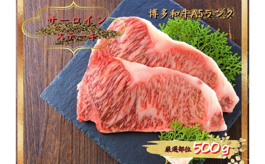博多和牛サーロインステーキセット 500g（250g×2枚）