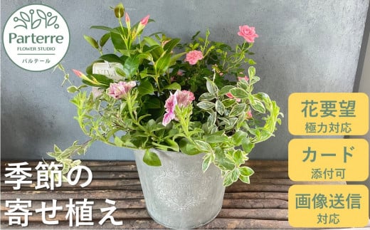 花屋が贈る季節の寄せ植え鉢【通常受付】 378522 - 岩手県北上市