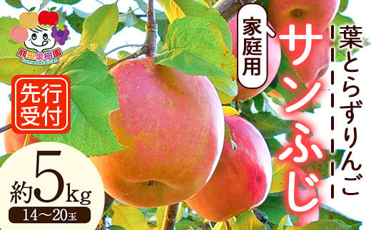 ＜先行予約＞家庭用 葉とらずりんご サンふじ 約5kg（14～20玉） F21R-879 642510 - 福島県白河市