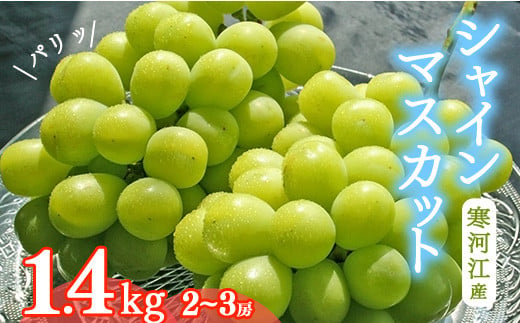 シャインマスカット 1.4kg （2～3房）山形県産 ぶどう 2023年産 令和5年産 【9月下旬頃～10月下旬頃発送予定】　015-B27