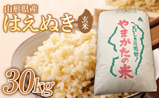 2023年 山形県産 はえぬき 玄米 30kg(1袋) 米 お米 おこめ ごはん