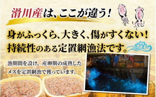 先行予約】ボイルほたるいか※着日指定は備考欄へ ※25年3月中旬以降配送予定【(有)カネツル砂子商店】【冷蔵 ホタルイカ 朝どれ おつまみ 富山 観光  旬 期間限定】 富山県滑川市｜ふるさとチョイス ふるさと納税サイト