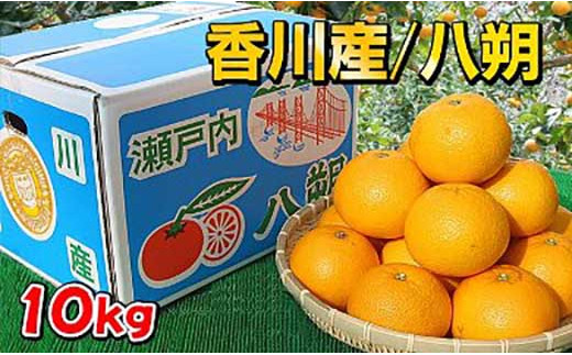 ［香川産］あふれる果汁タップリ完熟はっさく10kgの詰め合わせ