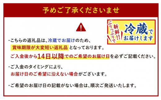 【配達日時指定可】本場関門とらふぐ白子(2～3人前)ふく一