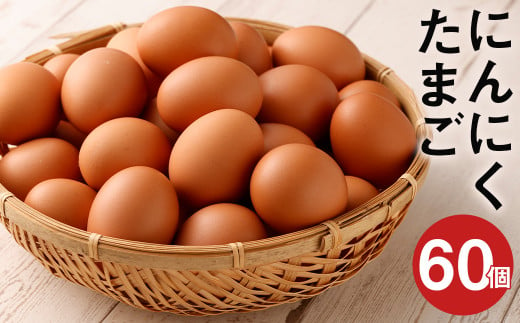 にんにくたまご 60個 卵 にんにく卵 鶏卵 熊本県産 九州産 冷蔵 送料無料 990278 - 熊本県菊池市