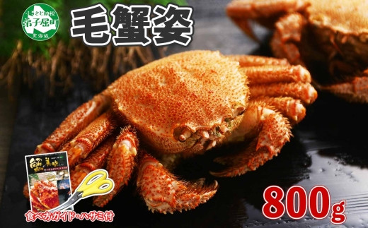 2101. ボイル毛蟹姿 800g 食べ方ガイド・専用ハサミ付 カニ かに 送料