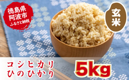  こしひかり ひのひかり 玄米 5kg ブランド米 糖質制限 農家直送 令和5年産 1323251 - 徳島県阿波市