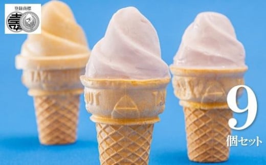 老舗和菓子屋のソフトクリーム　こしあんのソフトクリーム９個入 764292 - 和歌山県和歌山市
