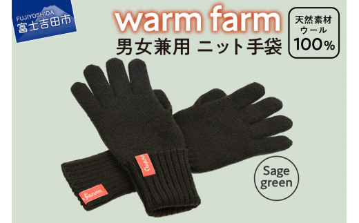 ふるさと納税 小物 山梨県 富士吉田市 手袋 光吸収発熱ウール 「 ウォームファーム　ニット手袋 」 グリーン 暖かい ウール 発熱素材 レディース メンズ 秋 冬… pd_dede92860b50d799191cbc51d9a