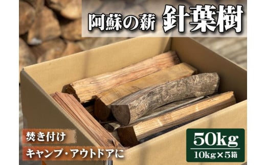 阿蘇の薪 針葉樹50kg（10kg×5箱） 832481 - 熊本県阿蘇市