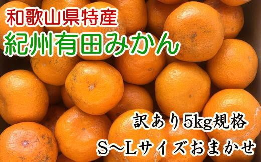 【訳あり】和歌山有田みかん約5kg（S～Lサイズいずれかお届け）★2024年11月中旬頃より順次発送【TM81】 764808 - 和歌山県和歌山市