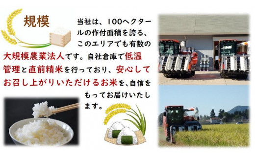 【セール】Ｒ2年度 秋田県産 一等米級 ひとめぼれ 米 20kg 産地直送送料無料