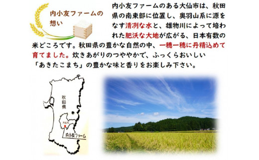 令和4年産 秋田県産あきたこまち 一等米 農家直送 無洗米10kg - 秋田県