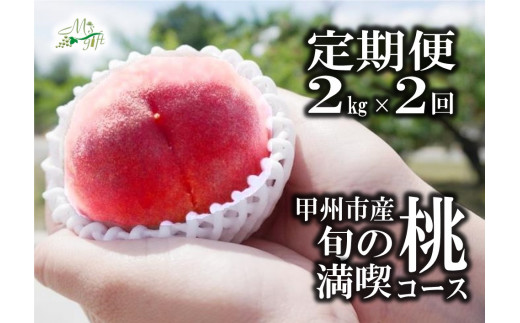 C-451．《定期便》甲州市産旬の桃満喫コース２ｋｇ×２回発送（MG）