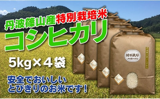 お米のおいしさ伝えたい！特別栽培米コシヒカリ5kg×4 753677 - 兵庫県丹波篠山市