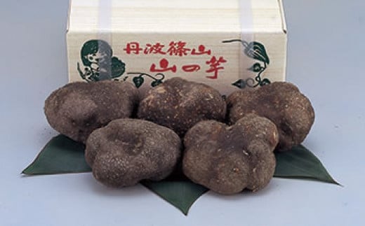 丹波山の芋 優品約1.5kg - 兵庫県丹波篠山市｜ふるさとチョイス