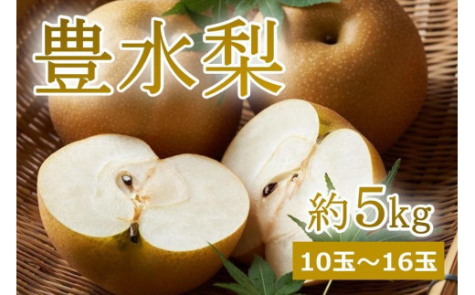 【先行予約／数量限定150】樹上完熟豊水梨５kg（10個～16個）（2023年9月上旬～発送）