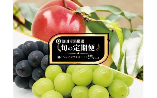 甲州市産フルーツ定期便2回 池田青果大人気定期便 厳選 桃2kg 厳選