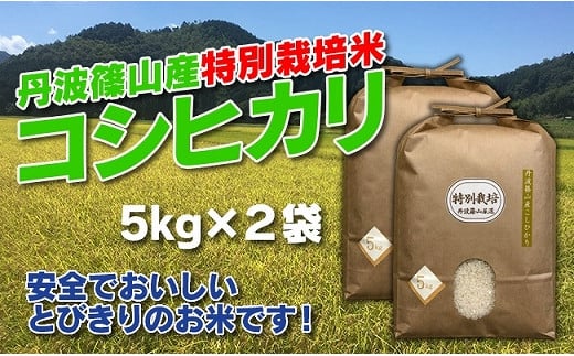 お米のおいしさ伝えたい！特別栽培米コシヒカリ5kg×2 753676 - 兵庫県丹波篠山市