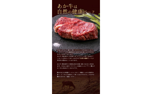 あか牛 ヒレ ステーキ 450g (150g x3) 熊本県産 和牛 肉 《60日以内に