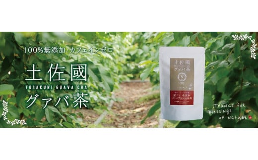 国産有機栽培グァバ葉100％使用 土佐國グァバ茶2g×30包入り 3個セット 444355 - 高知県南国市