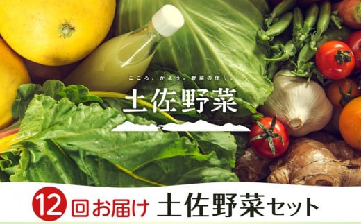 【全12回お届け】土佐野菜セット 444313 - 高知県南国市