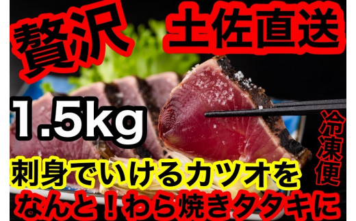 【ギフト用】冷凍脂カツオ【1.5kg】 445843 - 高知県南国市