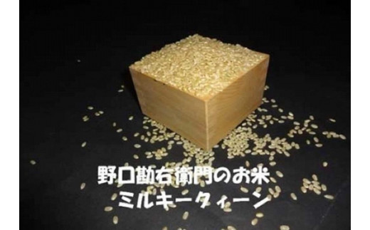 【5年産】野口勘右衛門のお米「玄米食最適米（ミルキークイーン）」玄米20kg(10kg×2)