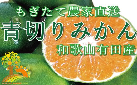 こだわりの 青切りみかん　約10kg【2024年9月下旬より順次発送】 481715 - 和歌山県九度山町