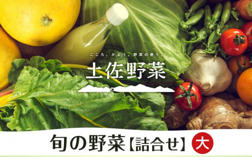 【土佐野菜】旬の野菜の詰め合わせ 大 444314 - 高知県南国市