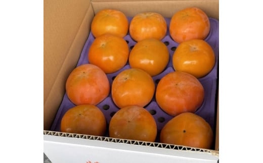 【厳選・産直】 贈答用「富有柿」2L×12個(約3kg) 730864 - 岐阜県大野町