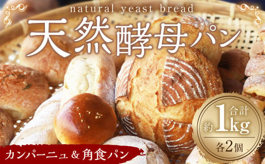 天然酵母 パン ( カンパーニュ / 角食パン 1斤 ) 各2 計約1kg 食パン フランスパン 578256 - 熊本県水俣市