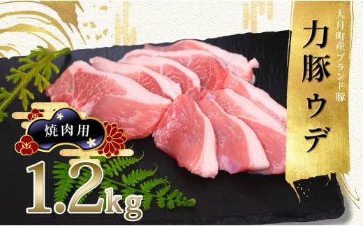 【高知県 大月町産ブランド豚】力豚ウデ焼き肉用1.2kg 790705 - 高知県大月町