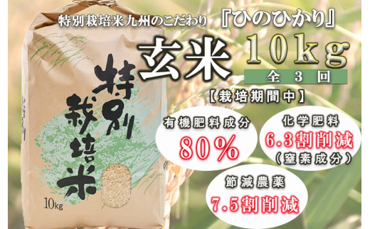 令和5年産「定期便」特別栽培米・九州のこだわり米ひのひかり 玄米10kg