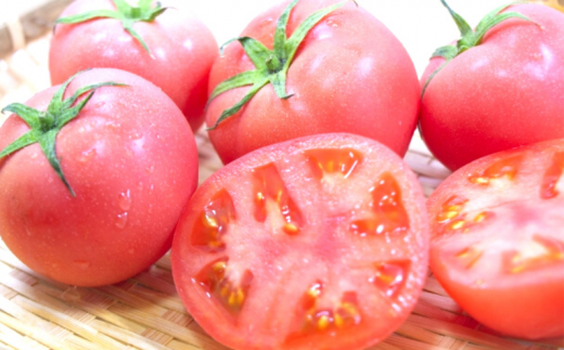 待ち望む人も多い、新見産の桃太郎トマトは季節限定です。
