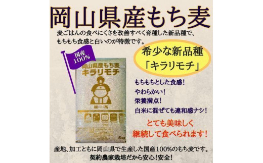 新作/公式 10kg 新麦 キラリモチ もち麦 国産 - 食品