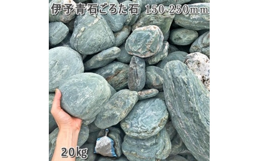 庭石 伊予青石 ごろた石（150～250mm） 1袋（約20kg）ゴロタ石 自然石 川石