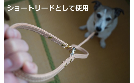 ふるさと納税 山口県 山陽小野田市 本革製犬用リード（ステッチ入り