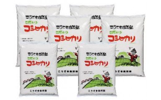 こうざきコシヒカリ（減農薬米）白米12kg 玄米12kg 398890 - 千葉県神崎町