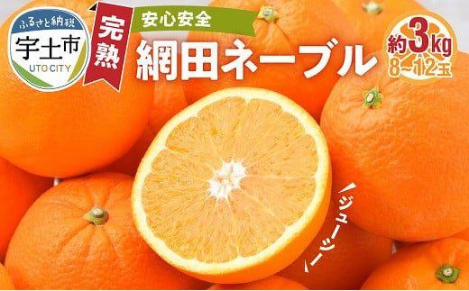 101-8 村田果樹園　減農薬で安心安全な完熟網田ネーブル　約3kg（8玉～12玉） 635610 - 熊本県宇土市