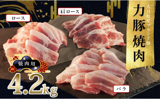 【高知県 大月町産ブランド豚】力豚焼き肉4.2kgセット 790742 - 高知県大月町