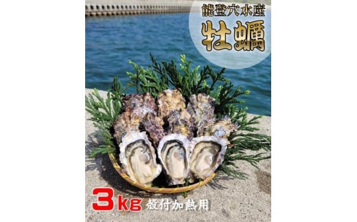 鮮度抜群！獲れたてをお届け！ B-9 能登穴水の牡蠣(殻付)加熱用３ｋｇ 718157 - 石川県穴水町