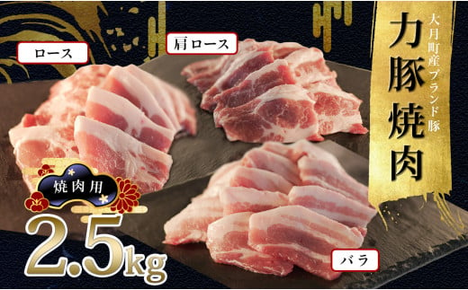 【高知県 大月町産ブランド豚】力豚焼き肉2.5kgセット 790741 - 高知県大月町