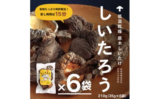 こだわりの低温乾燥シイタケ「しいたろう」210g（35g×6袋） 774379 - 鳥取県日野町