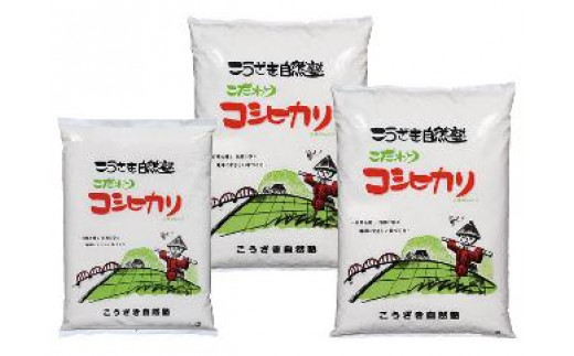 こうざきコシヒカリ（減農薬米）玄米12kg 398883 - 千葉県神崎町