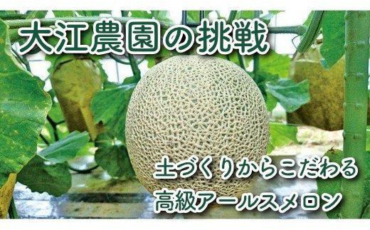 【先行予約／数量限定10】京都丹後産　セリーヌメロン1玉入り（2023年7月～発送）