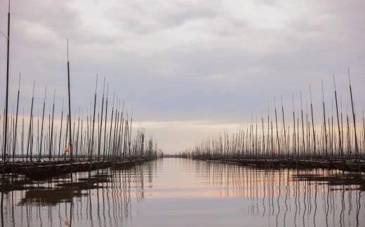 筑後川と早津江川、2つの河川が有明海に流れ込む「一流浜」の漁場。